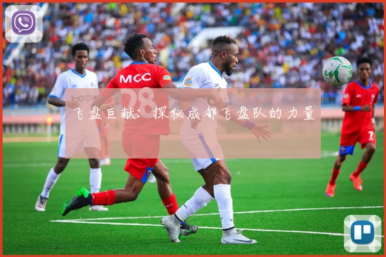 飞盘巨献：探秘成都飞盘队的力量