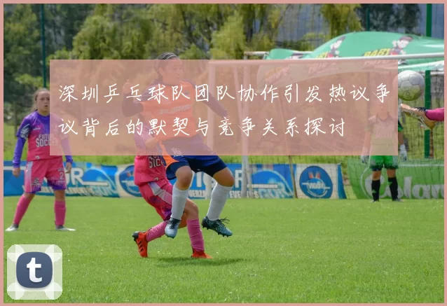 深圳乒乓球队团队协作引发热议争议背后的默契与竞争关系探讨